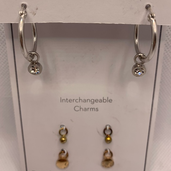 Gold and Silver Interchangeable Earrings Set with Charms - Picture 6 of 8